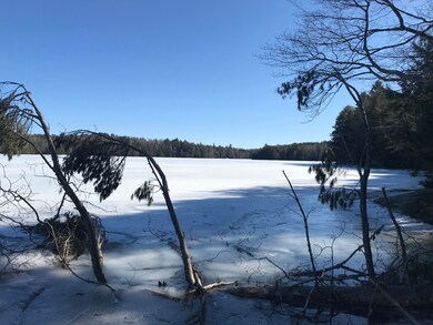 Winter on the Pond