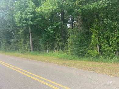 0 Mcdowell Rd, Bay Minette, AL 36507 - photo 7