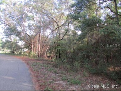 00 SW 200th Cir, Dunnellon, FL 34431 - photo 3