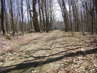 127 paces up road