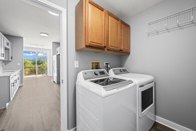 231 Grandview Ct unit 2, Algonquin, IL 60102 - photo 3