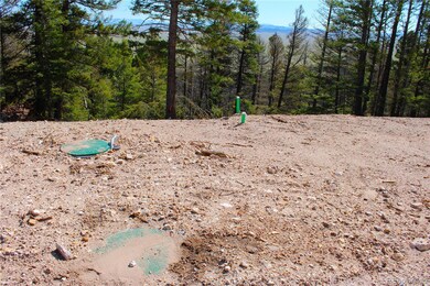 198 Baler Ct unit 891, Hartsel, CO 80449 - photo 7