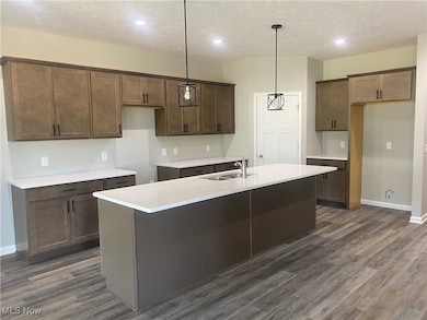 Spacious open kitchen with quartz counters, walk in pantry and loads of cupboards