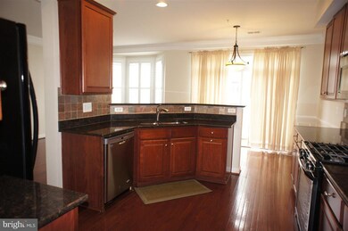 13618 Venturi Ln unit 167, Herndon, VA 20171 - photo 6