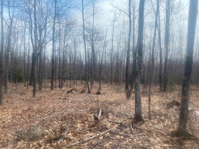 View of landscape with a wooded view