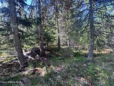 NNA Backroads Way Lot 3, Priest River, ID 83856 - photo 6
