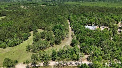 Drone / aerial view with a forest view