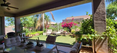 PATIO YARD