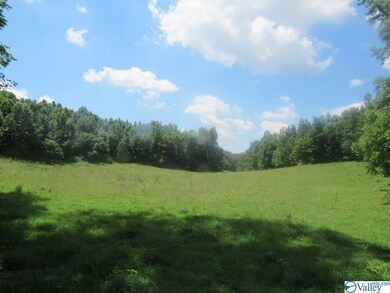 0 Shoal Creek Rd unit 1148561, Goodspring, TN 38460 - photo 7