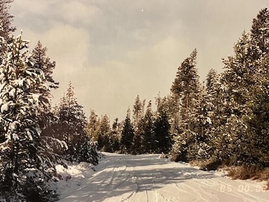 4800 Bear Flat (Nf 86), Chemult, OR 97731 - photo 3