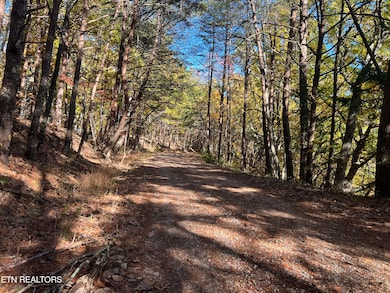 0 Polly Mtn Rd unit 1321445, Madisonville, TN 37354 - photo 6