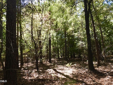 263 Russell Chapel Church Rd, Pittsboro, NC 27312 - photo 5