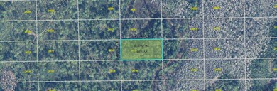 0 Dill Rd unit MFRO6271696, Orlando, FL 32820 - photo 3