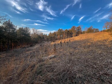 000 Lakebreeze Cir, Theodosia, MO 65761 - photo 5