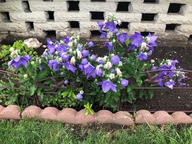 316 9th St NW, Cedar Rapids, IA 52405 - photo 7