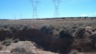 DSCF0005