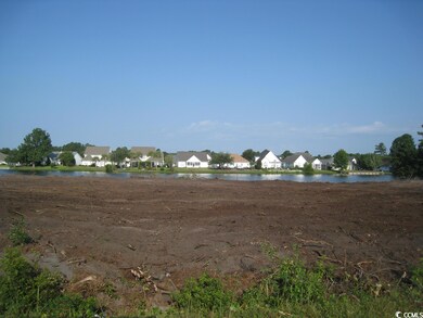 TBD Wilderness Rd, Conway, SC 29526 - photo 2