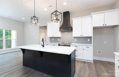 5083 Oxbow Run Ln unit 62, Clover, SC 29710 - photo 4