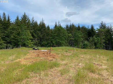 0 Business 18b Hwy unit 22447435, Willamina, OR 97396 - photo 6