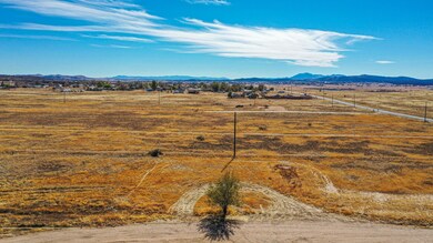 DJI_0548