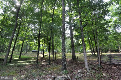 751 Levels View Rd, Paw Paw, WV 25434 - photo 6