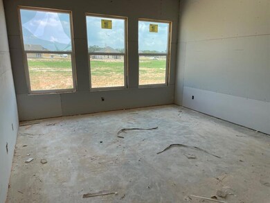 161 Chester Rd, Springtown, TX 76082 - photo 6