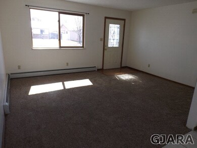 Light Bright Living Room with New Carpet