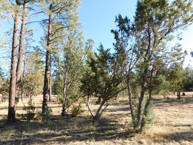 Roundup Rd (3)