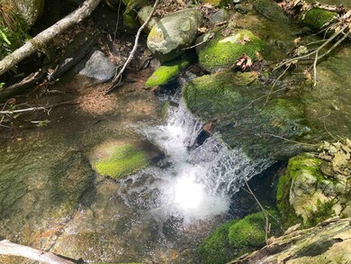 73 Clark Rd, Brattleboro, VT 05301 - photo 3