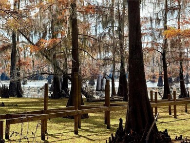 0 Hardwater Lake Rd, Pollock, LA 71467 - photo 3