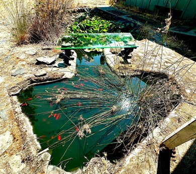 Goldfish Pond