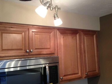 Kitchen. New lights shining brightly thru out the 