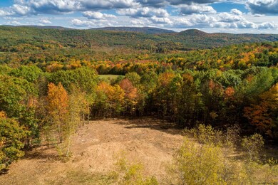 0 Deer Ridge Rd unit 202030495, Chatham, NY 12060 - photo 2