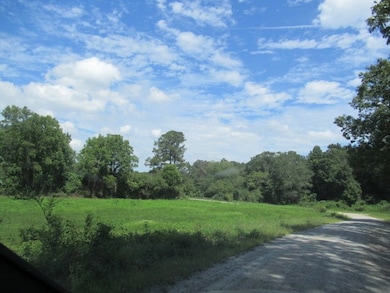 101 Winding Road - Lot 1a & 1b & Lot 2, Bowdon, GA 30108 - photo 3