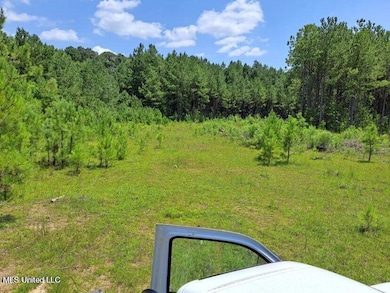 0 0 U S 49, Mendenhall, MS 39114 - photo 3