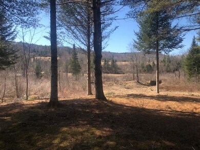 0 French Rd unit 24 4904602, Dalton, NH 03598 - photo 7