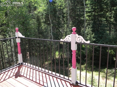 500 Pinon Lake Dr, Divide, CO 80814 - photo 5