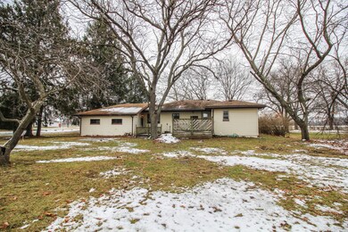 Buckhorn-9641