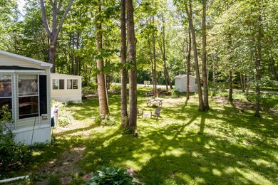 2-Backyard1