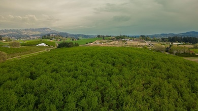 11706 SW Spring Hill Rd, Gaston, OR 97119 - photo 2
