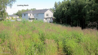 From South edge of lot looking North