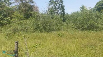 Parcela Camino Los Nieves unit 3, Arecibo, PR 00612 - photo 5