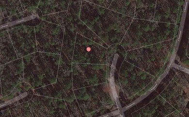 Dewberry Ct unit Huntsville TX 77320, Huntsville, TX 77320 - photo 7