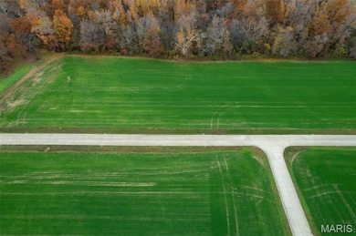 420 Bertha E Dumey Dr, Benton, MO 63736 - photo 2