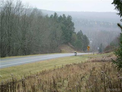 Land. View from Land & County Rd. 49