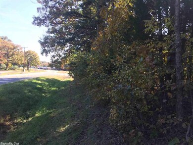 0 Heber Springs Rd N, Tumbling Shoals, AR 72581 - photo 3