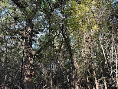 TBD County Road 1707, Jacksonville, TX 75766 - photo 6