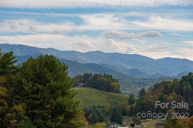 171 Uncle Harveys Ln, Burnsville, NC 28714 - photo 5