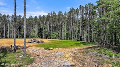 005 Pilgrim Rest Dr, Brandon, MS 39042 - photo 4