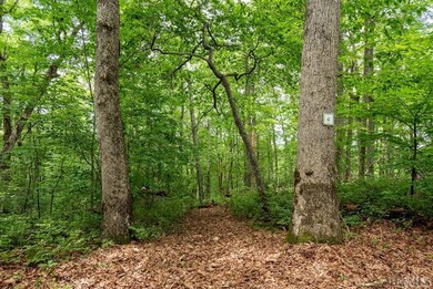 Lot 4 Parkview Ln, Cullowhee, NC 28723 - photo 2
